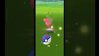 catch rare pokemon Gimmighoul from golden lure🔥🔥 #pokemongo