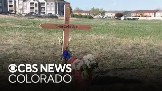 Wife, mother remembers loved ones who died in Thornton motorcycle crash