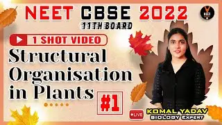 Structural Organization in Plants Class 11 #1 | NEET Biology | NEET 2022 Preparation | Komal Yadav