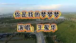 王爱华演唱歌曲《你是我的梦梦梦》简直太好听了