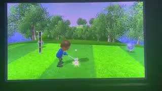 Wii Sports Golf: So Close to Hole in One 142yd Hole 4 Par 3 