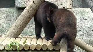 SF Zoo