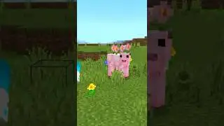Pink Cow