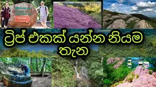 ජාතික නාමල් උයන අනුරාධපුර | jathika Namal uyana, Anuradhapura