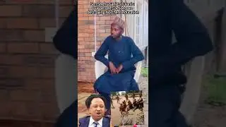 Shehu Sani to Fulanis: Our people&rsquo;s actions are destroying Northern education