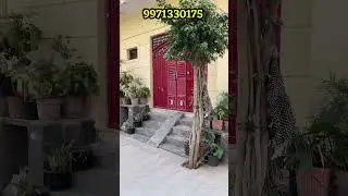Delhi Jai Vihar Nazafgarh ॥ Plot in Delhi Najafgarh ॥ #plot #plotindelhi #residentialplot