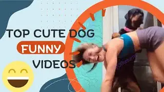 The Funniest Pet Compilation You Can't Miss! 😂🐶🐱