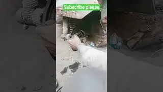 auto brake shoe fitting#automobile #works #viral #machine #video #viralclips #my channel
