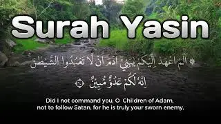 Peaceful Quran for Calm Mind and Soul – Surah Yasin Quran