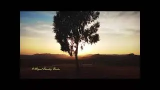 Conoce El Centenillo   (Jaén)