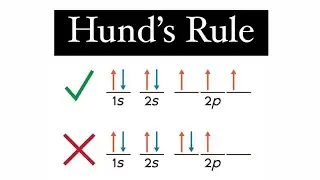 Hund&rsquo;s rule explained in a simple way | Sarcaster | Chemistry classes #shorts #ytshorts #chemistry