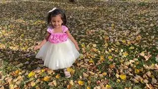 Autumn season l Fall season | Beautiful Sweden | Beautiful senery | Kannada vlogs