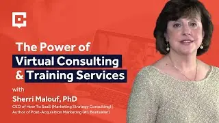 The Power of Virtual Consulting & Training Services