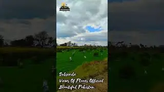 Most Beautiful Village Road Of Pakistan | #LoveNotes | #Shorts | Views of Places Official