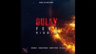 Gully Feva Riddim Mix (JUN 2019) Feat.Chase Cross,De Geal,Kurry Stain,Shane E