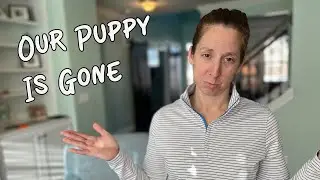 Day In The Life Of A Dog Breeder - 10 Week Old Puppy Finds A New Home