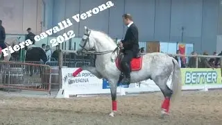 Fiera Cavalli Di Verona 2012