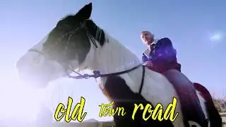 Donald Cerrone x Old Town Road