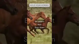 Learn English Idioms & Sound like a NATIVE👉🏻HOLD YOUR HORSES ‼️