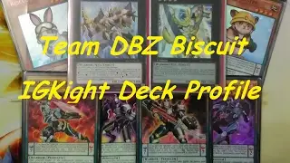 Igknight Deck Profile February 2017