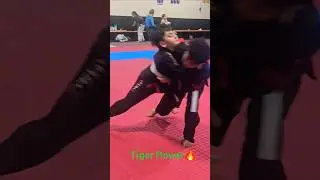 Use my partner power👍 #smart #game #judo #jiujitsu #sports #movement #animals #tiger #power #시카고주짓수