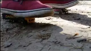 j's Vans vs Busses