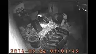 Kal Tire Robbery Stopped by Sonitrol Alarm