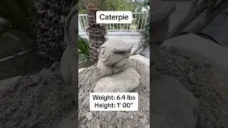 Caterpie and Weedles evolution line made from sand