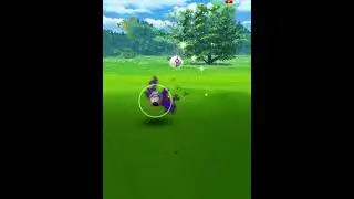 Pok&eacute;mon go shiny shadow ✨Beldum✨ Catch!! (Rare) #shorts