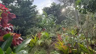 First Look Hurricane Milton Damage | 10/13/24