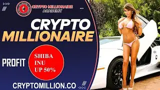 Shiba inu coin news today Shiba Inu coin surges on rumors that it would be listed on Robinhood