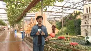 LIVE: Explore China's capital of vegetables