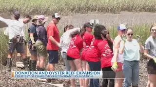 Charleston Restaurant Foundation donation and oyster reef expansion