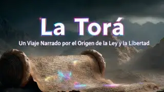 La Tor&aacute;, El Libro que Ense&ntilde;&oacute; al Mundo a Vivir