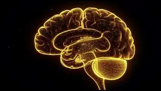 Remove Bad Think in Your Head With Relaxing Music Piano and Violin