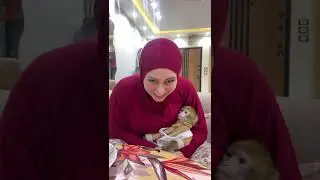 ام دونا ملهاش حل