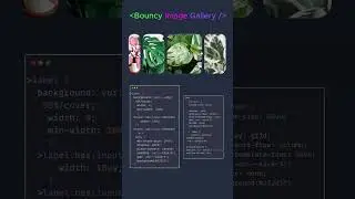 Image Gallery
