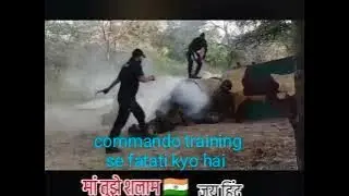 Commando training tear smoke  #army #commando #ats #para #shortvideo #viral #motivation #imotional 