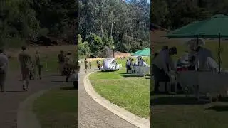 #picnic #picnicspot #picnic_food #uniqueshorts #neverseenbefore #top2024 #greattime