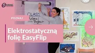 Folia elektrostatyczna EasyFlip Leitz