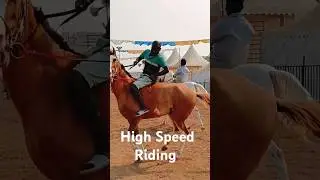 High-Speed Horse Riding | Thrilling Gallop Like Never Before!