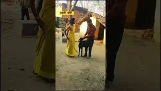 Stealing a goat #vairelsort #funny #comedy #shortvideo #vishnu song #bhojpuri #tending song #shorts