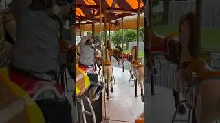 Little Flower Carousel Horses #ride #carnival #carnivalamusement #horse #merrygoround #carouselride