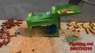 Batoza porumb (Лущилка кукурузы) Tehno H2 - Magazin Online FlexMag.md