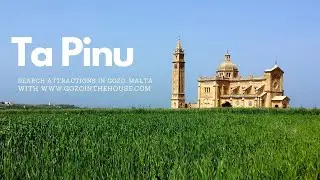 Ta Pinu