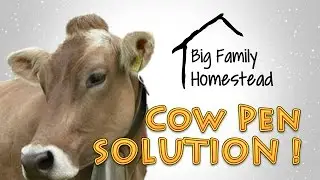 Cow Pen Solution on the Homestead