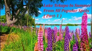 Amazing New Zealand | Lake Tekapo, Summer 2025 | All Popular Spot | Relaxing Music