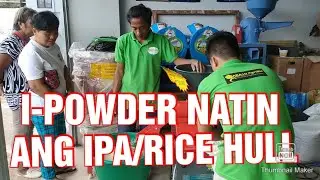 IPA OR RICE HULL TO POWDERIZED USING 3HP GRAIN GRINDER MACHINE!!!