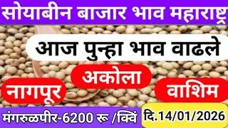 Soyabean Market Rate in Washim वाशीम लातूर 6200 रू |आजचा सोयाबीन बाजारभाव|Soyabean Bhav Today Latur.