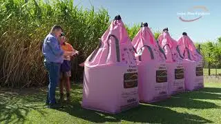 eNpower in sugarcane | Incitec Pivot Fertilisers